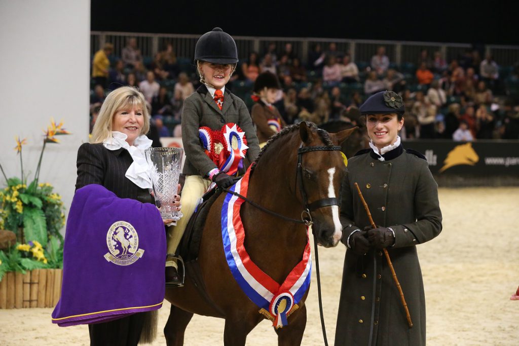 HORSE OF THE YEAR SHOW SUCCESS