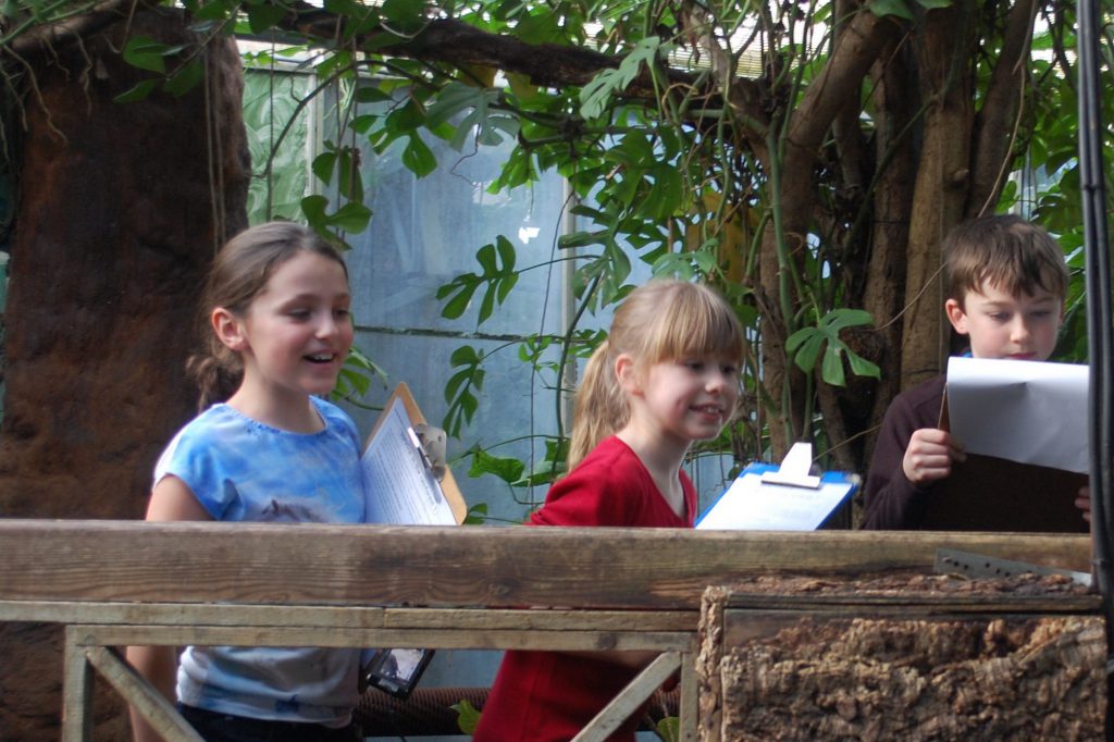 Year 5 visit The Living Rainforest