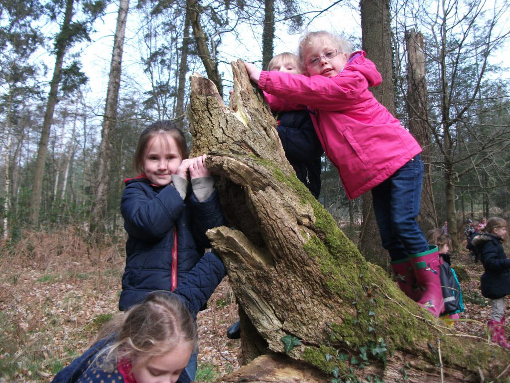 Pre-Prep spring walk at Shearwater